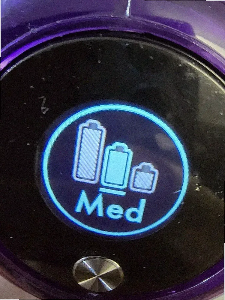 Dyson V11 Absolute Handstaubsauger