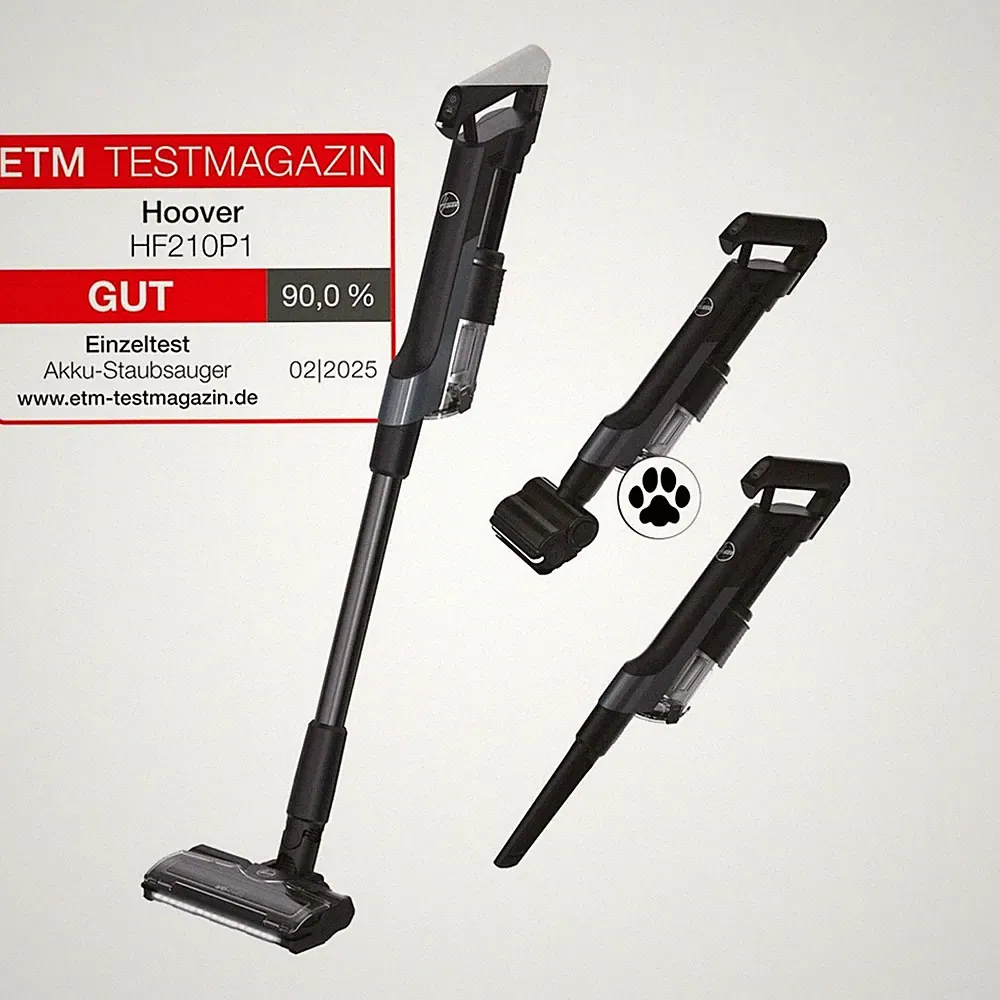 HOOVER HF2 Akkusauger HF210P1