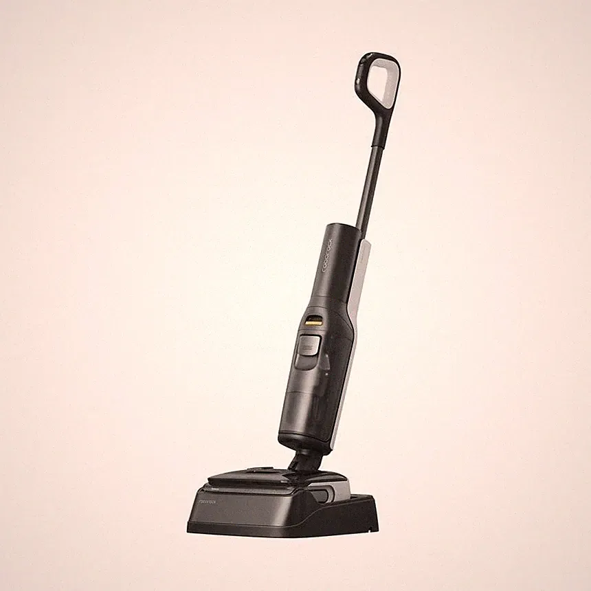 Roborock F25 BX Akku-Staubsauger (Nass- und Trockenreinigung), schwarz